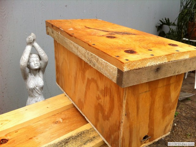 Nuc / Swarm Box lid on Nuc / Swarm Box