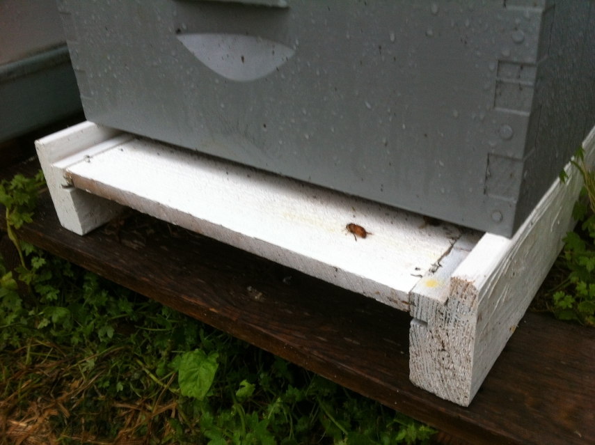 Image 1 of 8  -  317 kB