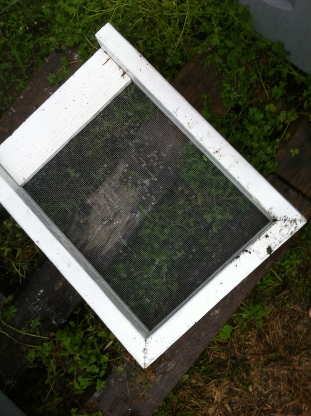 Image 8 of 8  -  394 kB