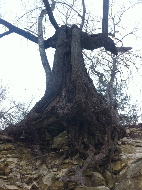 Img_0147