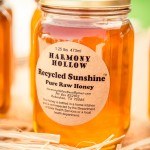 Recycled Sunshine Honey