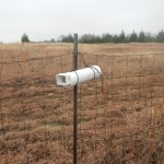 Pollen Substitute Dispenser on fence