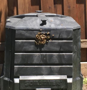 CompostBees